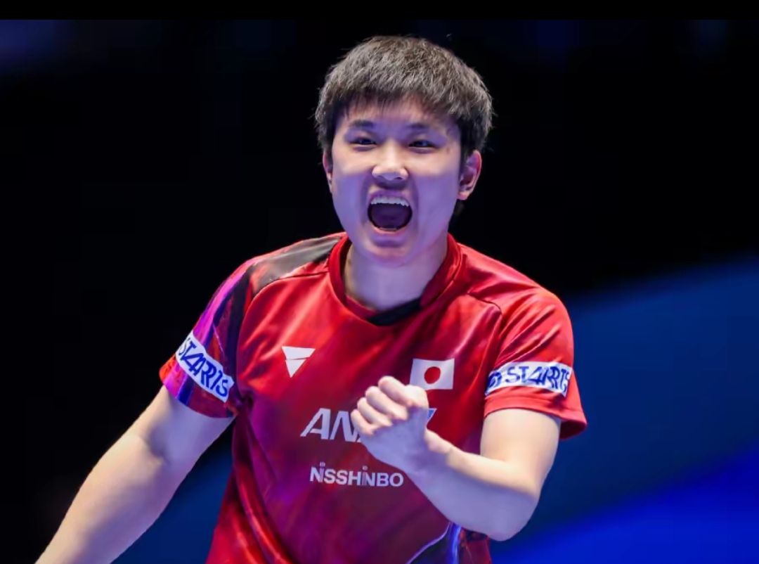 化学反应 化学反应