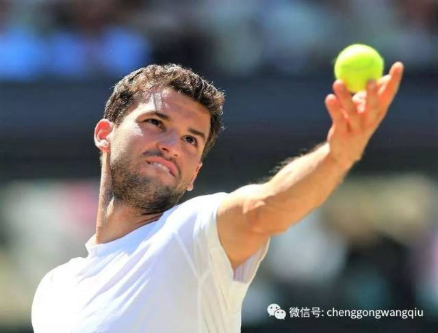 这场卡塔尔 这场卡塔尔