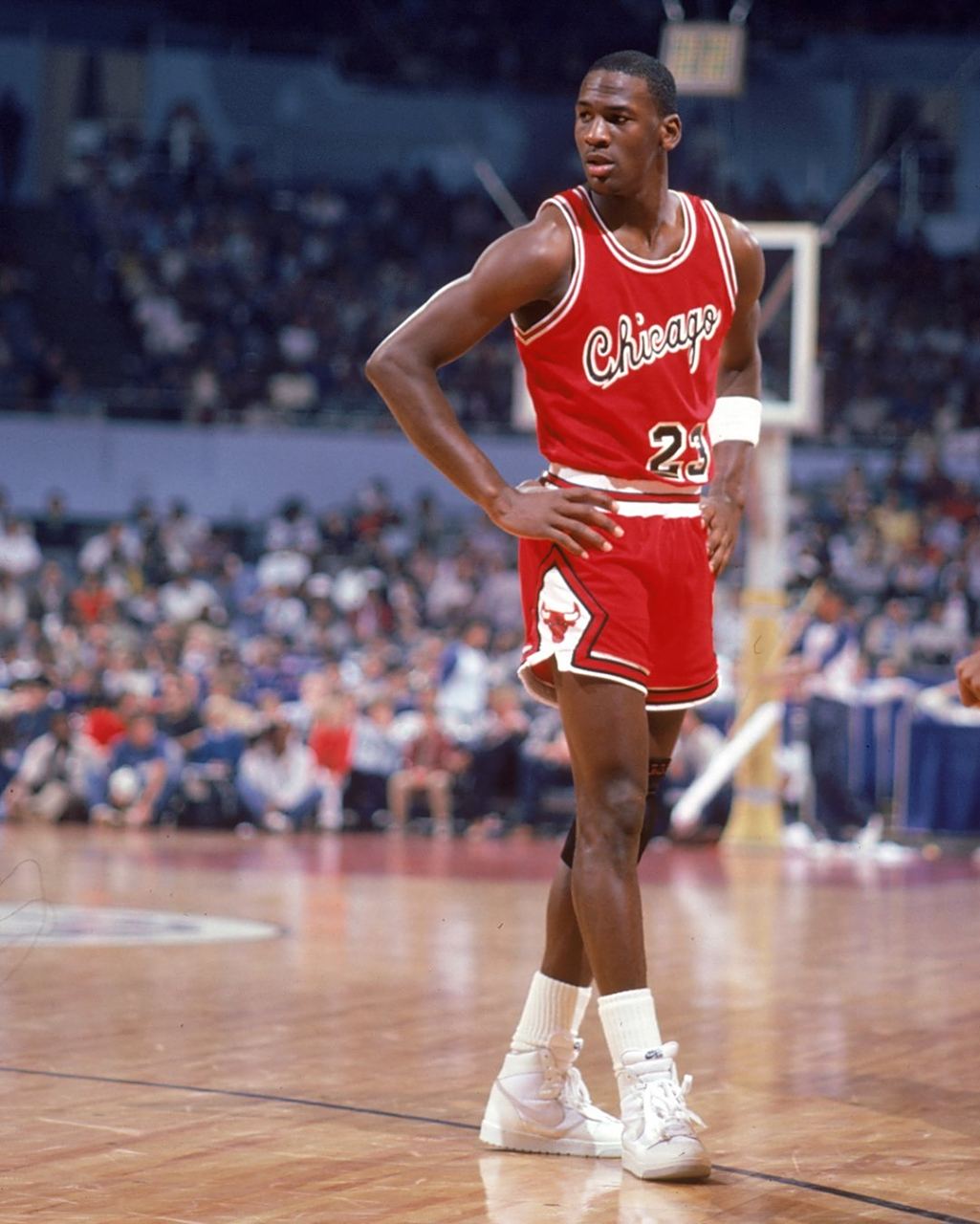 球场上的华 球场上的华